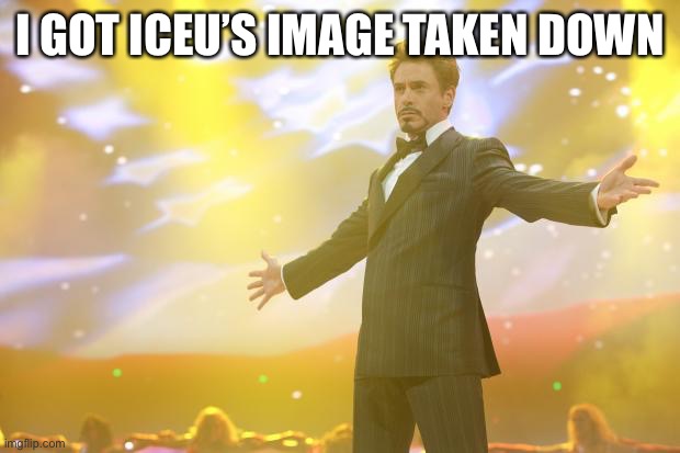 Just now. They just did it | I GOT ICEU’S IMAGE TAKEN DOWN | image tagged in tony stark success | made w/ Imgflip meme maker