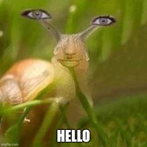 HELLO | made w/ Imgflip meme maker