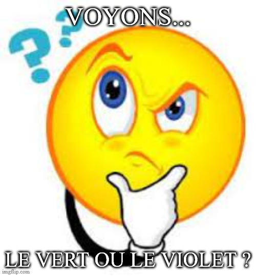 VOYONS... LE VERT OU LE VIOLET ? | made w/ Imgflip meme maker