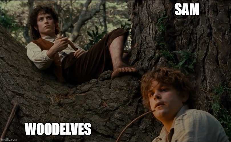 woodelves | SAM; WOODELVES | image tagged in frodo and sam smoking | made w/ Imgflip meme maker