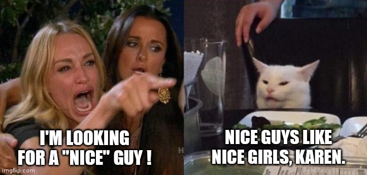 Woman Yelling at Smudge the Cat | NICE GUYS LIKE NICE GIRLS, KAREN. I'M LOOKING FOR A "NICE" GUY ! | image tagged in woman yelling at smudge the cat | made w/ Imgflip meme maker