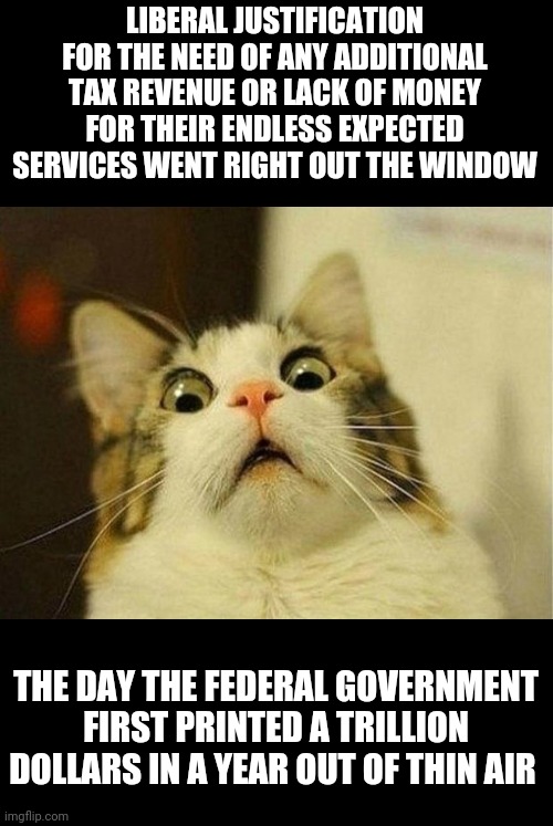 Scared Cat | LIBERAL JUSTIFICATION FOR THE NEED OF ANY ADDITIONAL TAX REVENUE OR LACK OF MONEY FOR THEIR ENDLESS EXPECTED SERVICES WENT RIGHT OUT THE WINDOW; THE DAY THE FEDERAL GOVERNMENT FIRST PRINTED A TRILLION DOLLARS IN A YEAR OUT OF THIN AIR | image tagged in memes,scared cat | made w/ Imgflip meme maker