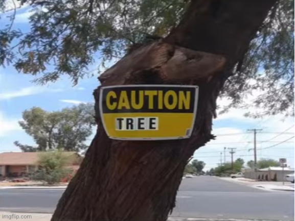 image tagged in caution,tree,you had one job,what | made w/ Imgflip meme maker
