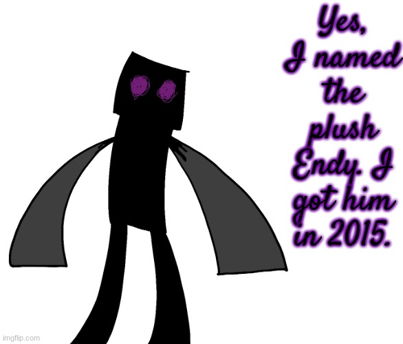 Endy The Enderman. | Yes, I named the plush Endy. I got him in 2015. | image tagged in endy the enderman | made w/ Imgflip meme maker