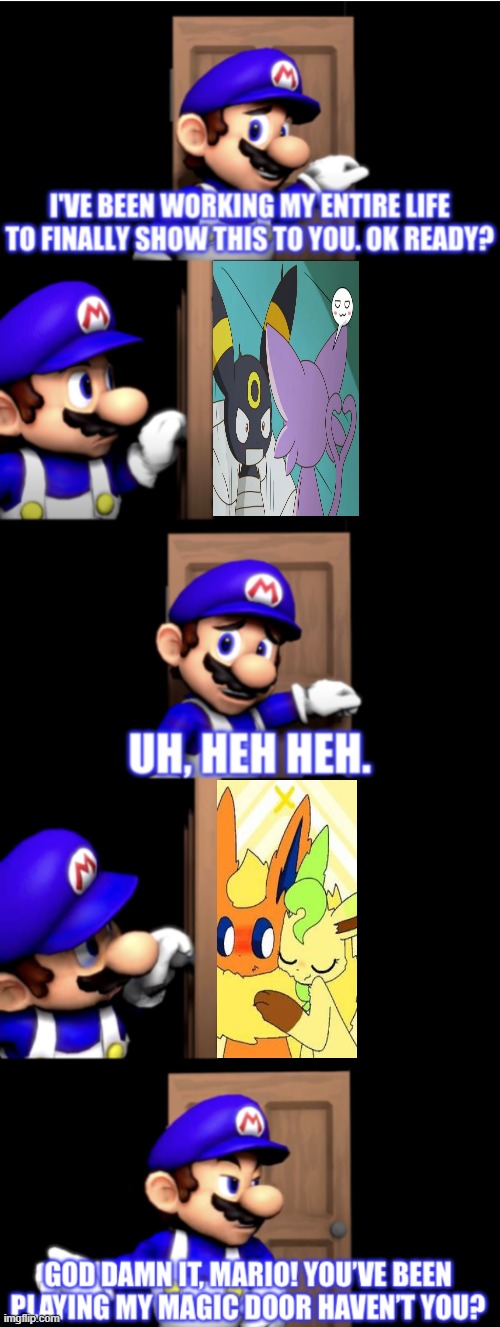 Mario turned incognito mode on | image tagged in smg4 door extended,eeveelution-squad,eevee,smg4,pokemon,ship | made w/ Imgflip meme maker