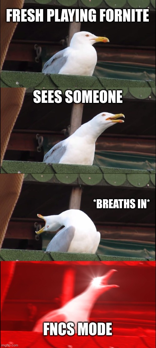 Fresh in pubs | FRESH PLAYING FORNITE; SEES SOMEONE; *BREATHS IN*; FNCS MODE | image tagged in memes,inhaling seagull | made w/ Imgflip meme maker