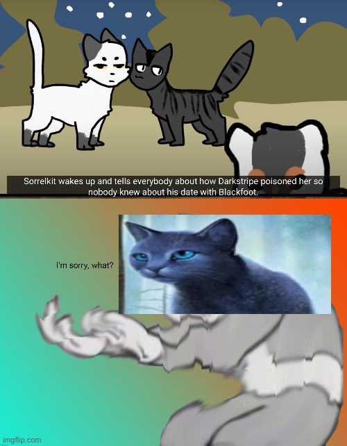 Darkstripe x Blackfoot is canon now? | image tagged in im sorry what | made w/ Imgflip meme maker