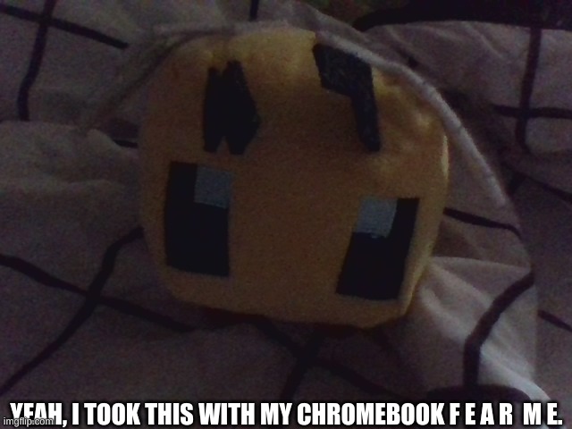 YEAH, I TOOK THIS WITH MY CHROMEBOOK F E A R  M E. | made w/ Imgflip meme maker