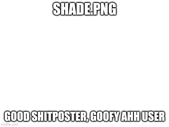 Blank White Template | SHADE.PNG; GOOD SHITPOSTER, GOOFY AHH USER | image tagged in blank white template | made w/ Imgflip meme maker
