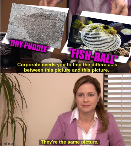 -On trolling the bait. | *FISH-BALL*; *DRY PUDDLE* | image tagged in memes,they're the same picture,fishing for upvotes,totally looks like,rain,waterfall | made w/ Imgflip meme maker