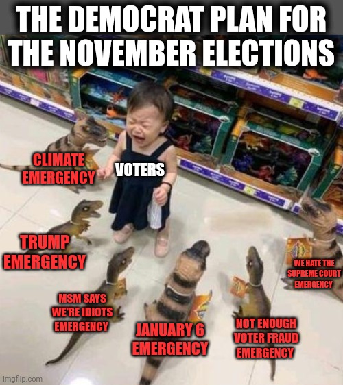 Here it all comes... | THE DEMOCRAT PLAN FOR
THE NOVEMBER ELECTIONS; VOTERS; CLIMATE
EMERGENCY; TRUMP
EMERGENCY; WE HATE THE
SUPREME COURT
EMERGENCY; MSM SAYS
WE'RE IDIOTS
EMERGENCY; JANUARY 6
EMERGENCY; NOT ENOUGH
VOTER FRAUD
EMERGENCY | image tagged in overwhelmed girl,memes,democrats,election 2022,emergencies,voters | made w/ Imgflip meme maker