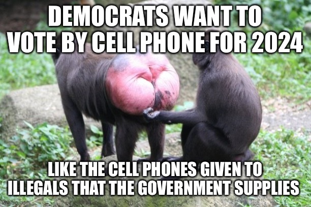 Democrats new plan for dominance | DEMOCRATS WANT TO VOTE BY CELL PHONE FOR 2024; LIKE THE CELL PHONES GIVEN TO ILLEGALS THAT THE GOVERNMENT SUPPLIES | image tagged in politicstoo,funny,happy,memes,gif | made w/ Imgflip meme maker