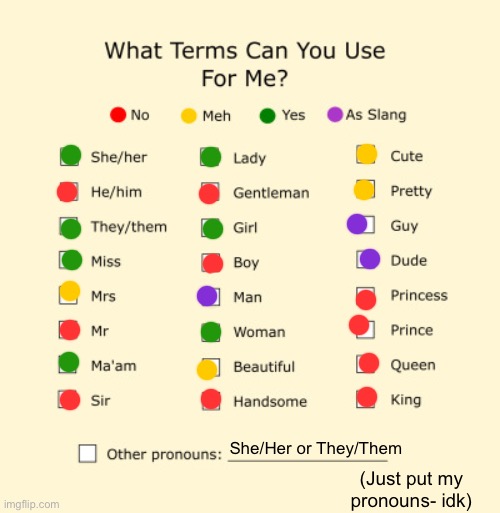 I just did this bc I was bored- (temp link in comments) | She/Her or They/Them; (Just put my pronouns- idk) | image tagged in pronouns sheet | made w/ Imgflip meme maker