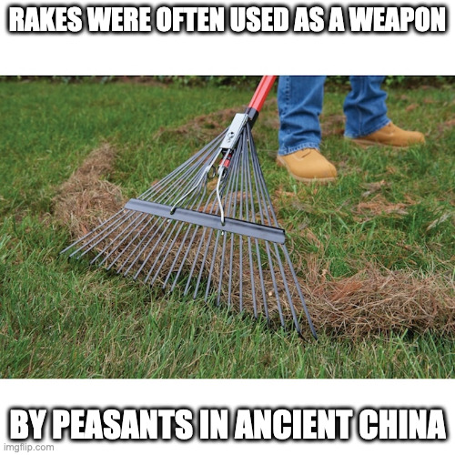 Rake | RAKES WERE OFTEN USED AS A WEAPON; BY PEASANTS IN ANCIENT CHINA | image tagged in rake,memes | made w/ Imgflip meme maker