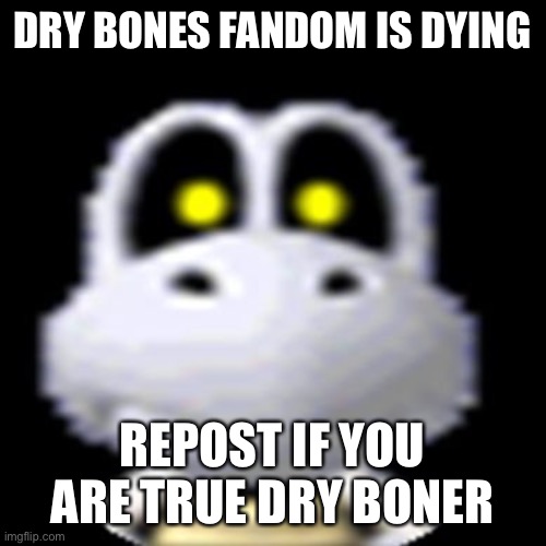 Dry Bones | DRY BONES FANDOM IS DYING; REPOST IF YOU ARE TRUE DRY BONER | image tagged in dry bones | made w/ Imgflip meme maker