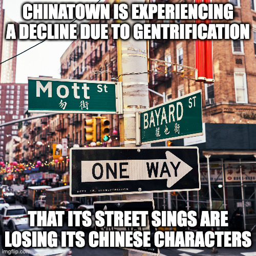 New York Chinatown | CHINATOWN IS EXPERIENCING A DECLINE DUE TO GENTRIFICATION; THAT ITS STREET SINGS ARE LOSING ITS CHINESE CHARACTERS | image tagged in memes,new york city | made w/ Imgflip meme maker