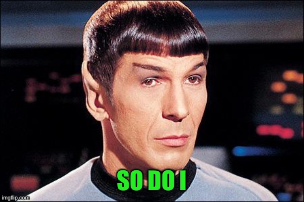 Condescending Spock | SO DO I | image tagged in condescending spock | made w/ Imgflip meme maker