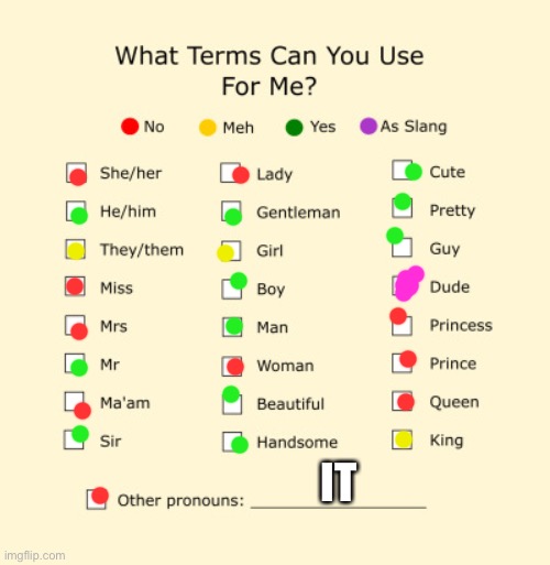 Pronouns Sheet | IT | image tagged in pronouns sheet | made w/ Imgflip meme maker