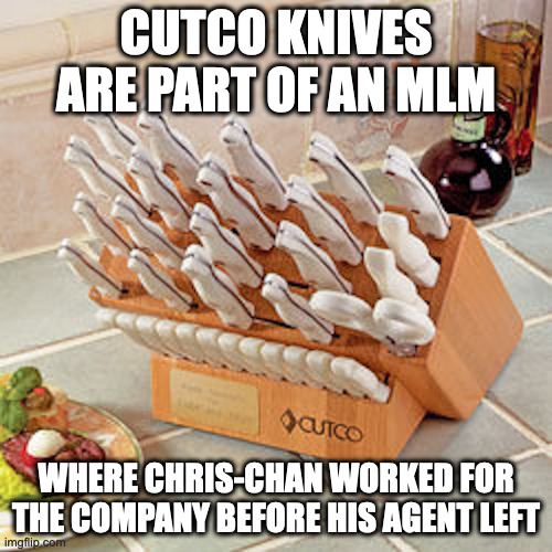 Cutco Knives | CUTCO KNIVES ARE PART OF AN MLM; WHERE CHRIS-CHAN WORKED FOR THE COMPANY BEFORE HIS AGENT LEFT | image tagged in cutco,knife,memes | made w/ Imgflip meme maker