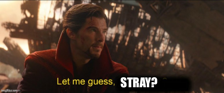 Dr Strange let me guess 2 | STRAY? | image tagged in dr strange let me guess 2 | made w/ Imgflip meme maker