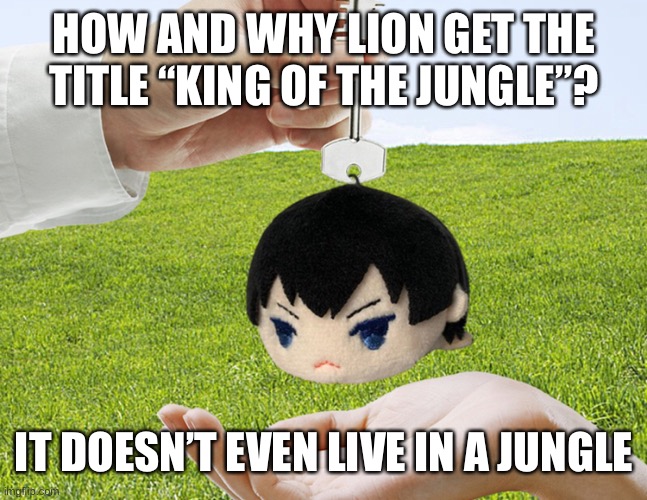 Why not something make more sense like tigers | HOW AND WHY LION GET THE TITLE “KING OF THE JUNGLE”? IT DOESN’T EVEN LIVE IN A JUNGLE | image tagged in tobio keychainyama | made w/ Imgflip meme maker