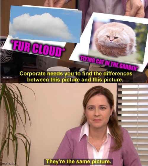 -Look at this! | *FUR CLOUD*; *FLYING CAT IN THE GARDEN* | image tagged in memes,they're the same picture,cute cat,doge cloud,funny animals,totally looks like | made w/ Imgflip meme maker