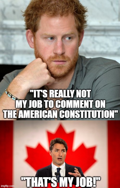 "IT'S REALLY NOT MY JOB TO COMMENT ON THE AMERICAN CONSTITUTION"; "THAT'S MY JOB!" | image tagged in prince harry,justin trudeau | made w/ Imgflip meme maker
