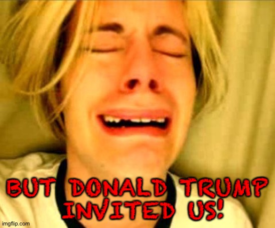 Leave Donald Alone!!! | BUT DONALD TRUMP
 INVITED US! | image tagged in leave britney alone | made w/ Imgflip meme maker