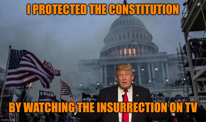Dereliction of duties | I PROTECTED THE CONSTITUTION; BY WATCHING THE INSURRECTION ON TV | image tagged in misconstrued coup | made w/ Imgflip meme maker