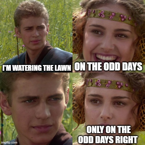 Water when you want. Unless you live in a desert, in that case stop growing grass! |  I'M WATERING THE LAWN; ON THE ODD DAYS; ONLY ON THE ODD DAYS RIGHT | image tagged in anakin padme 4 panel,water,lawn,wateringlawn | made w/ Imgflip meme maker