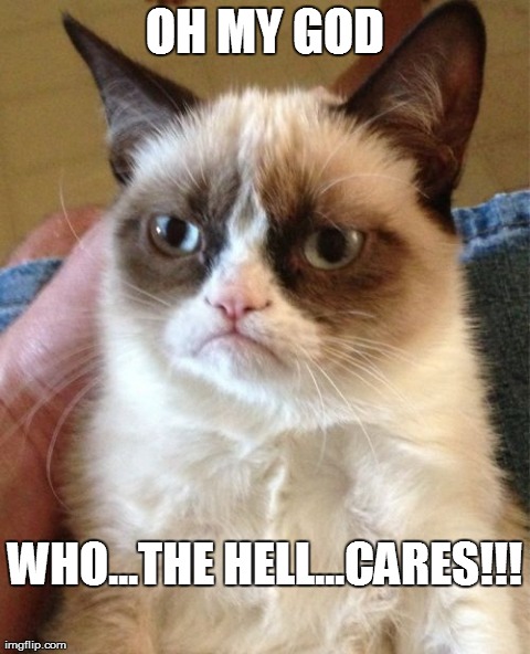 Grumpy Cat Meme | OH MY GOD WHO...THE HELL...CARES!!! | image tagged in memes,grumpy cat | made w/ Imgflip meme maker