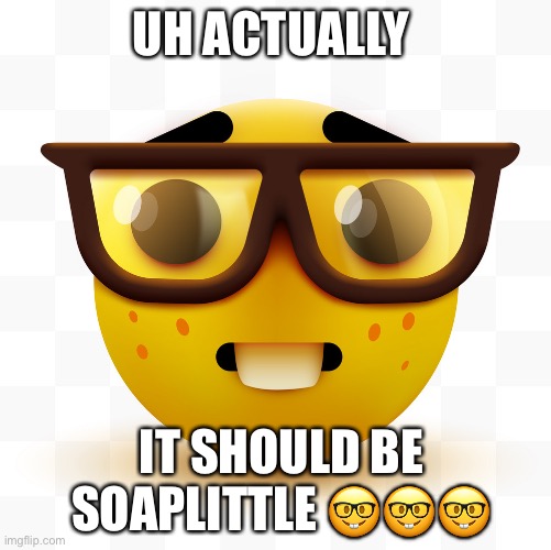 Nerd emoji | UH ACTUALLY IT SHOULD BE SOAPLITTLE ??? | image tagged in nerd emoji | made w/ Imgflip meme maker