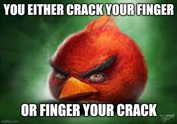 A potato flew around my room | YOU EITHER CRACK YOUR FINGER; OR FINGER YOUR CRACK | image tagged in realistic red angry birds | made w/ Imgflip meme maker
