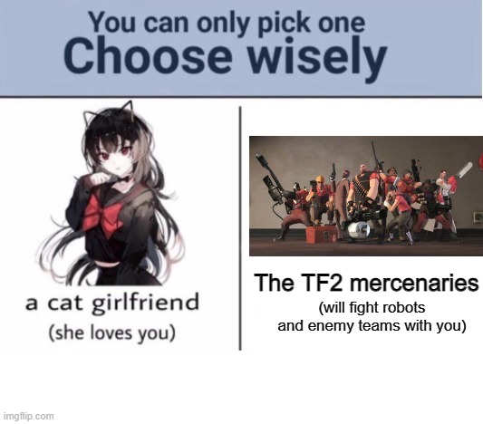 Choose wisely... | The TF2 mercenaries; (will fight robots and enemy teams with you) | image tagged in choose wisely,team fortress 2,memes,gaming | made w/ Imgflip meme maker