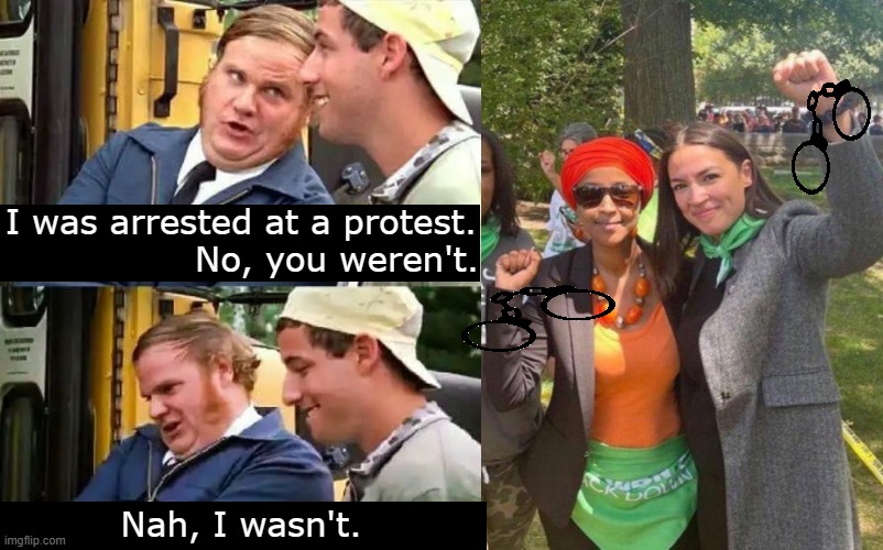 If only you could be arrested for being stupid.... | I was arrested at a protest. No, you weren't. Nah, I wasn't. | image tagged in politics,aoc,ilhan omar,crazy,stupid,democrats | made w/ Imgflip meme maker