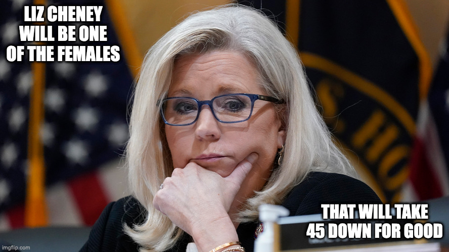 Liz Cheney | LIZ CHENEY WILL BE ONE OF THE FEMALES; THAT WILL TAKE 45 DOWN FOR GOOD | image tagged in liz cheney,politics,memes | made w/ Imgflip meme maker