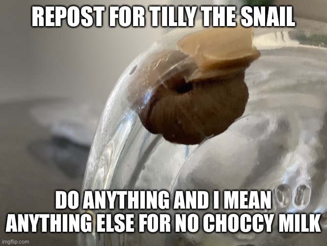 It’s repost time | REPOST FOR TILLY THE SNAIL; DO ANYTHING AND I MEAN ANYTHING ELSE FOR NO CHOCCY MILK | image tagged in augh | made w/ Imgflip meme maker