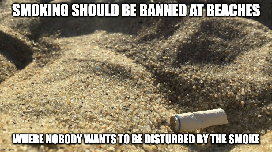 Cigarette Butt at Beach | SMOKING SHOULD BE BANNED AT BEACHES; WHERE NOBODY WANTS TO BE DISTURBED BY THE SMOKE | image tagged in beach,cigarette,memes | made w/ Imgflip meme maker