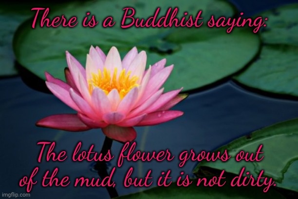 I was raised by rednecks. | There is a Buddhist saying:; The lotus flower grows out of the mud, but it is not dirty. | image tagged in lotus,philosophy,self esteem,words of wisdom,flower | made w/ Imgflip meme maker
