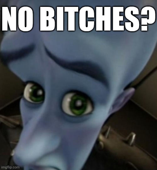 No bitches | NO BITCHES? | image tagged in megamind no bitches | made w/ Imgflip meme maker