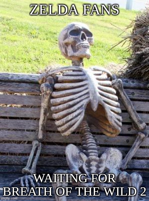 The struggle is real | ZELDA FANS; WAITING FOR BREATH OF THE WILD 2 | image tagged in memes,waiting skeleton | made w/ Imgflip meme maker