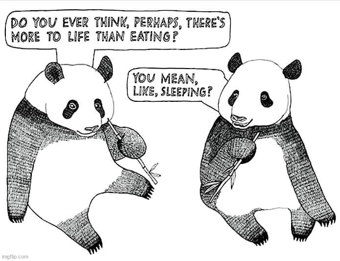image tagged in comics | made w/ Imgflip meme maker