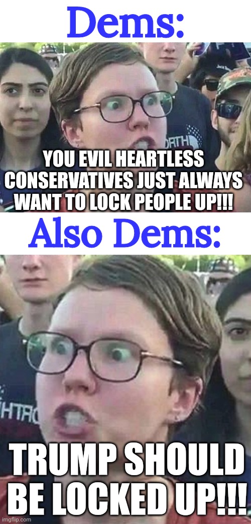 yeah, whatever... | Dems:; YOU EVIL HEARTLESS CONSERVATIVES JUST ALWAYS WANT TO LOCK PEOPLE UP!!! Also Dems:; TRUMP SHOULD BE LOCKED UP!!! | image tagged in triggered liberal,politics,wtf,prison,liberal hypocrisy,human stupidity | made w/ Imgflip meme maker