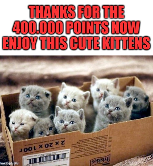 even this should be in a cat stream but fun stream would be good | THANKS FOR THE 400.000 POINTS NOW ENJOY THIS CUTE KITTENS | image tagged in thanks,cute kittens | made w/ Imgflip meme maker