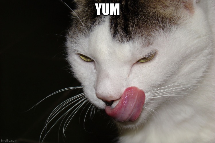 YUMMY | YUM | image tagged in yummy | made w/ Imgflip meme maker