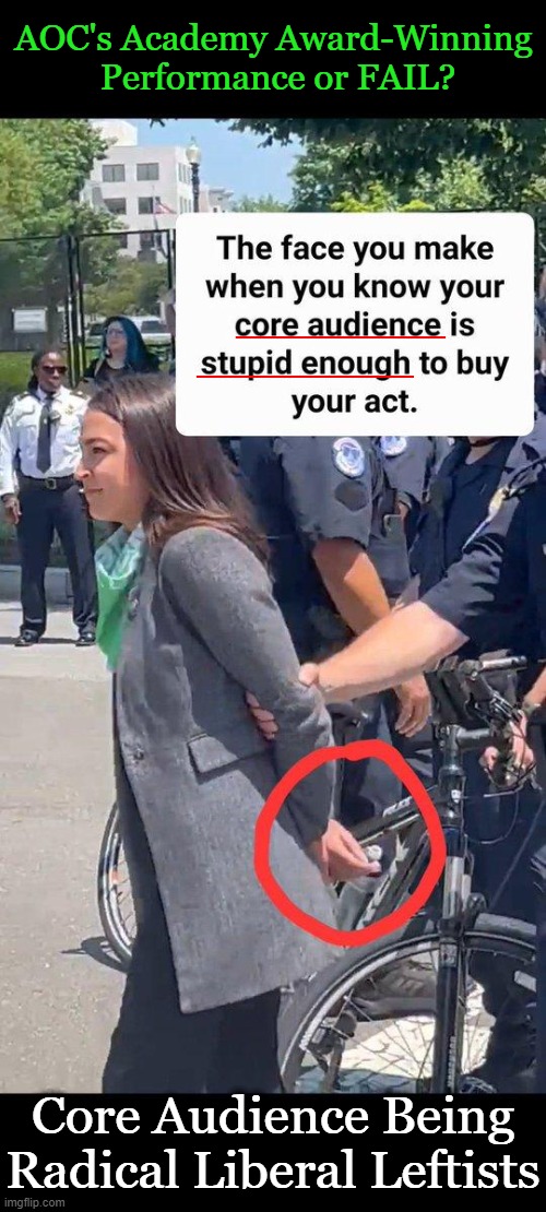 All 'Show' and No 'Know'.... | AOC's Academy Award-Winning 
Performance or FAIL? Core Audience Being

Radical Liberal Leftists | image tagged in politics,aoc,crazy alexandria ocasio-cortez,staged,thou doth protest too much,democrats | made w/ Imgflip meme maker