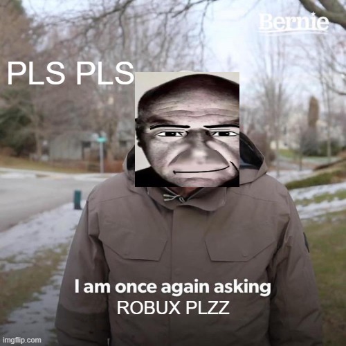 Bernie I Am Once Again Asking For Your Support | PLS PLS; ROBUX PLZZ | image tagged in memes,bernie i am once again asking for your support | made w/ Imgflip meme maker