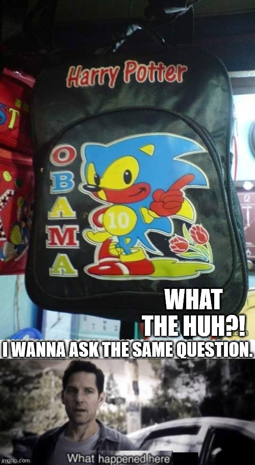WHAT THE HUH?! I WANNA ASK THE SAME QUESTION. | image tagged in what happened here | made w/ Imgflip meme maker