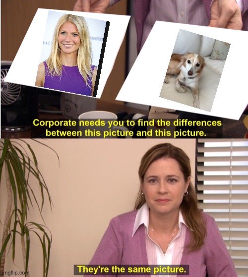 They're The Same Picture | image tagged in memes,they're the same picture | made w/ Imgflip meme maker