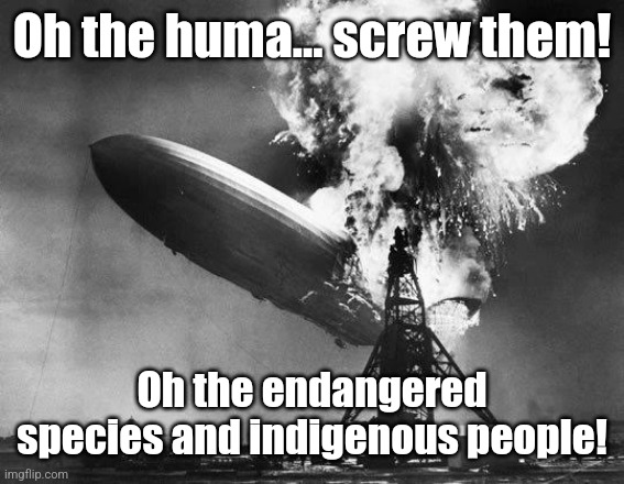 Hindenburg | Oh the huma... screw them! Oh the endangered species and indigenous people! | image tagged in hindenburg | made w/ Imgflip meme maker